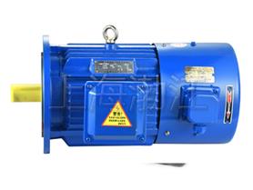 變頻電動機-變頻電機-變頻調(diào)試電機